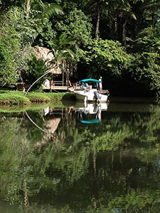 A boat docking before the forest