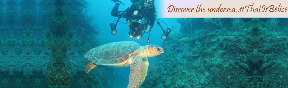 Discover the undersea...that is Belize